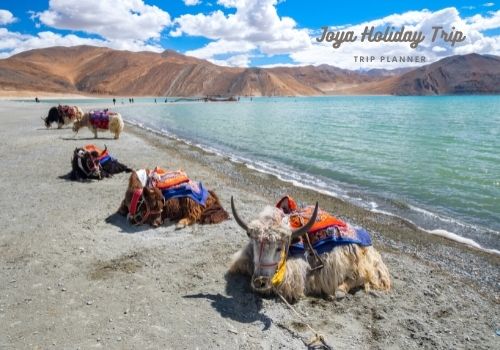 leh ladakh tour package